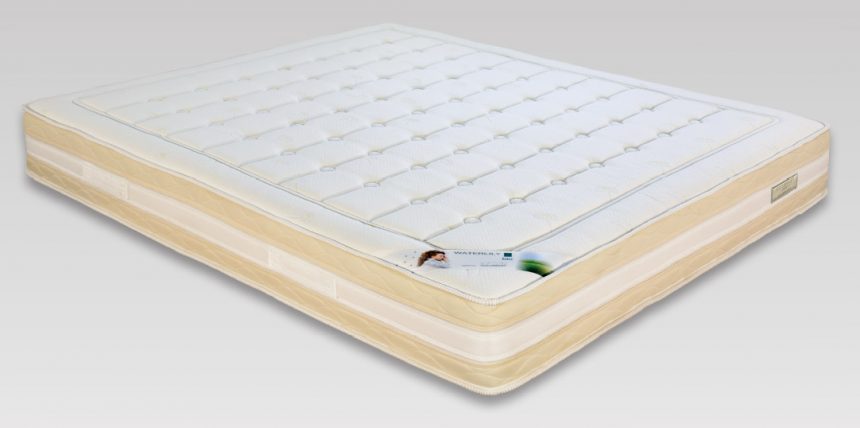 GAIA BIO MIND 2.0 GAIA BIO MIND 2.0